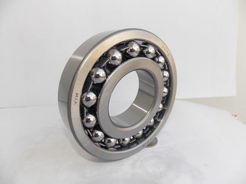 1309 Bearing